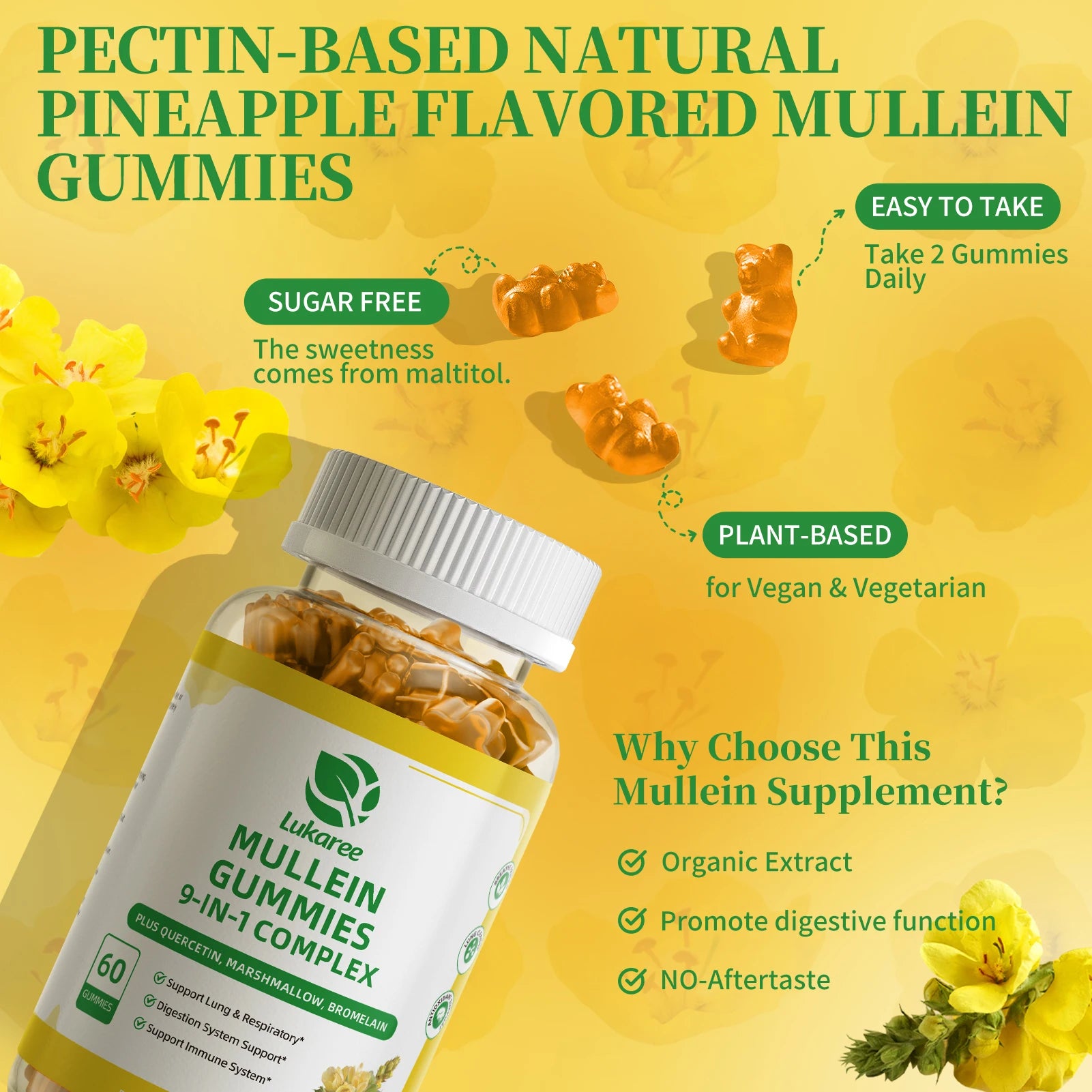 9-IN-1 Mullein Gummies | Natural Lung & Immune Support