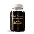 Organic Himalayan Shilajit Gummies for Daily Wellness Boost