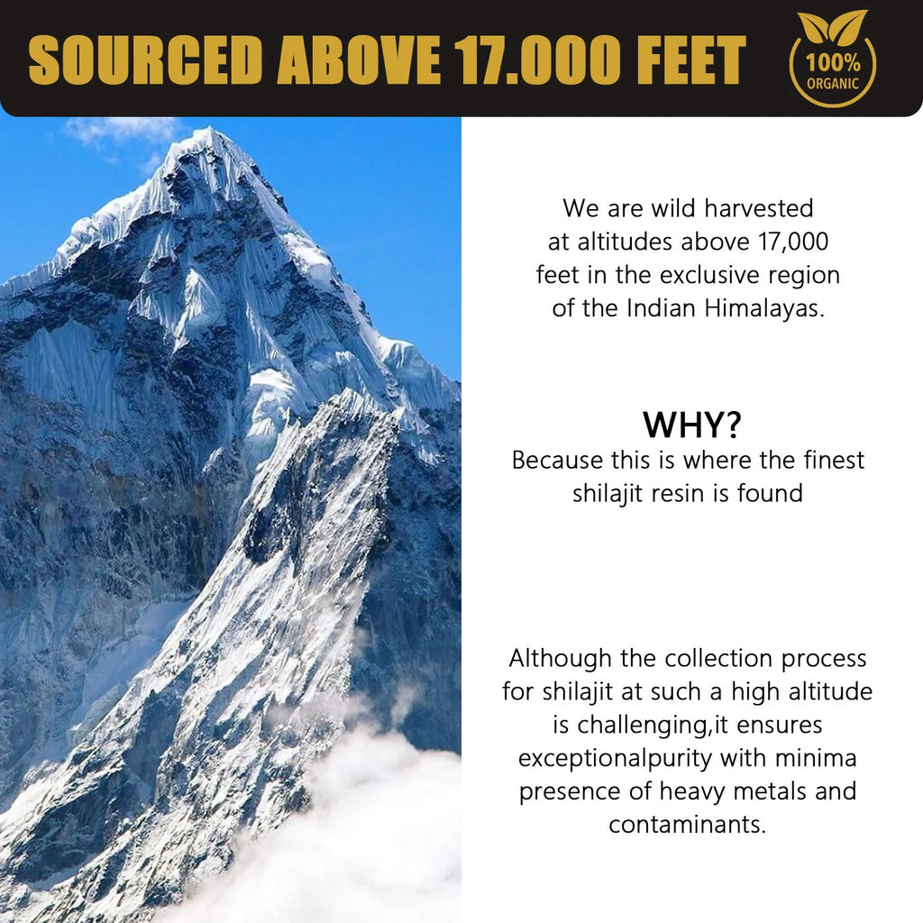 Pure Himalayan Shilajit Resin 30g - Gold Grade Natural Shilajit With Fulvic Acid 85+ Trace Minerals For For Men & Women