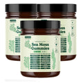 16-in-1 Sea Moss Gummies with Ashwagandha & Black Seed Oil
