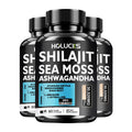 Advanced Shilajit & Sea Moss Supplement, with L-Citrulline, for Male Reproductive Health, Stamina & Immune Defense, Non-GMO