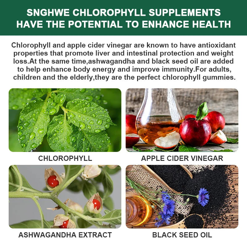 Chlorophyll Gummies with ACV | Immune & Digestive Wellness